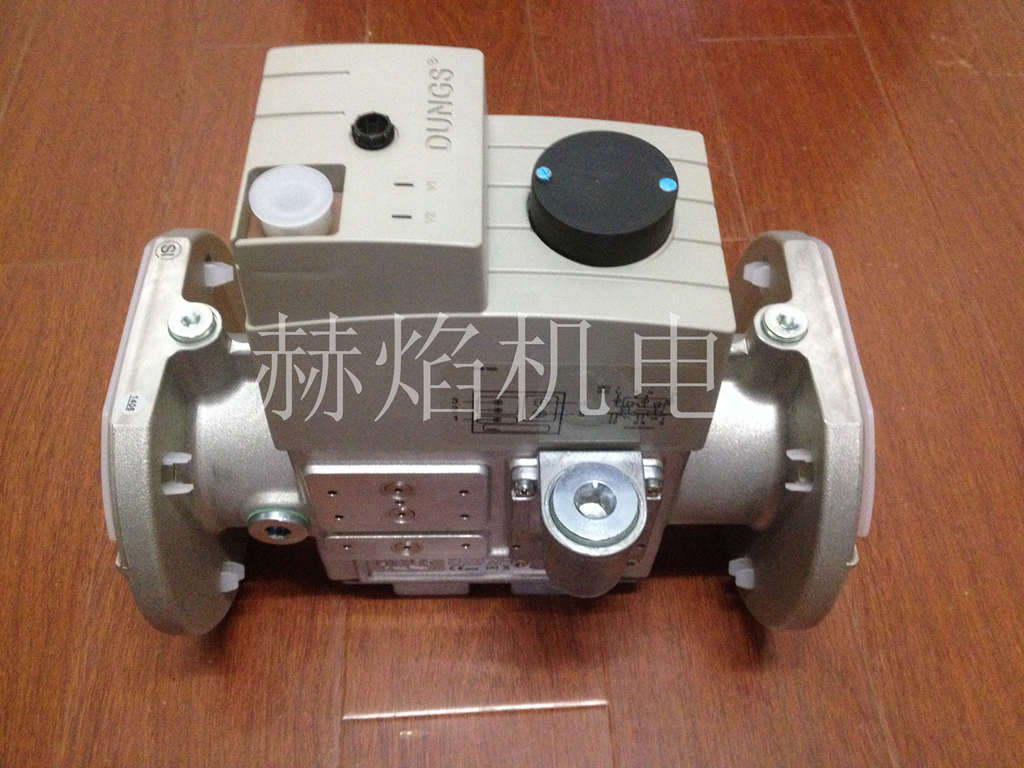 DMV-D(LE)ϵ��ȼ?x��)��p늴��y�M ��(Dungs)��˹