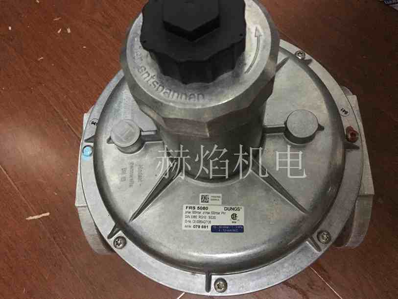 FRSϵ��ȼ?x��)��{(di��o)���y ��(Dungs)��˹