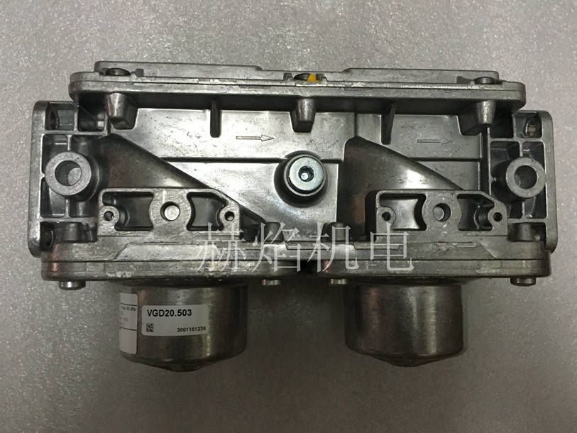 VGD20.403,VGD20.503ȼ���p���y