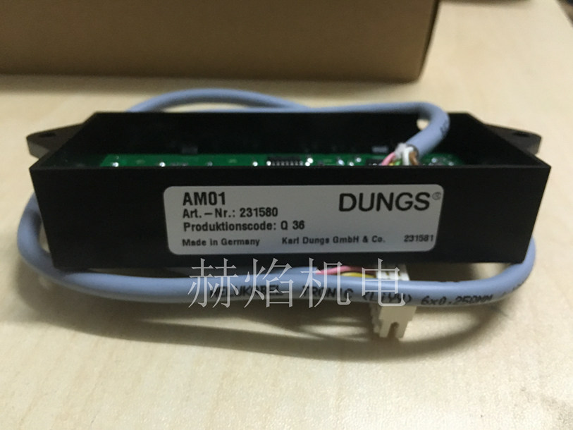 AM01�@ʾ��  DUNGS��˹